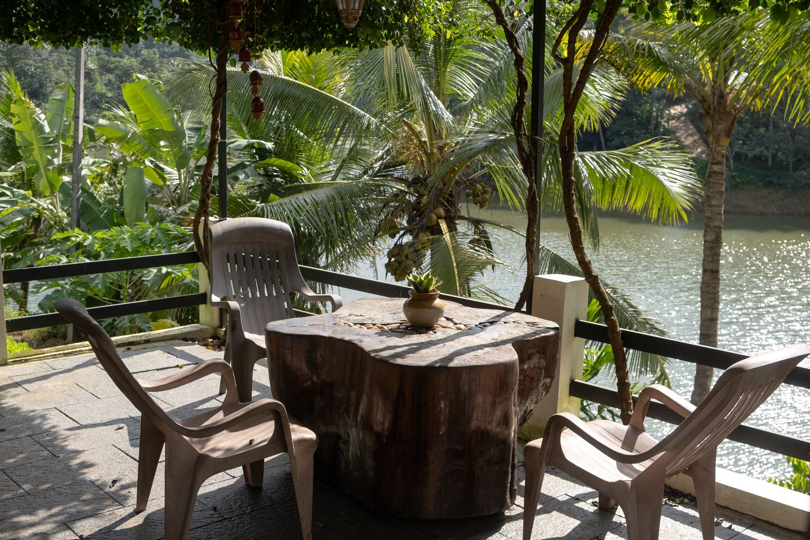 A shaded deck with a tree-trunk table overlooking the water