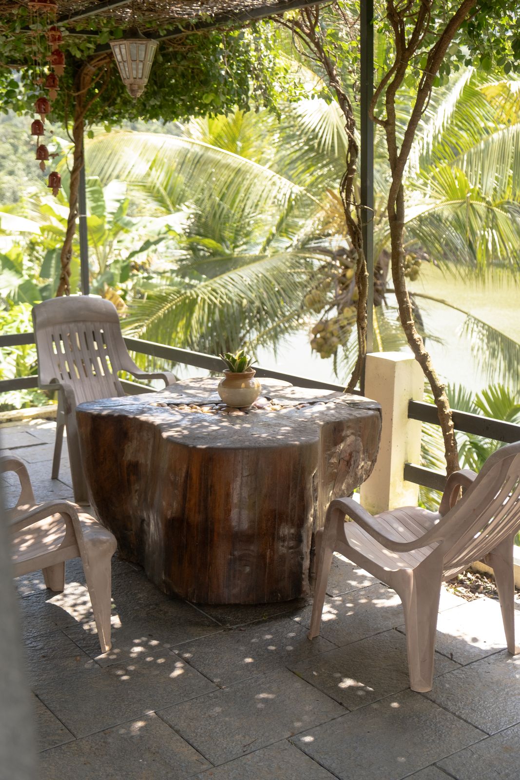 A table and chairs under a canopy of vines and palms